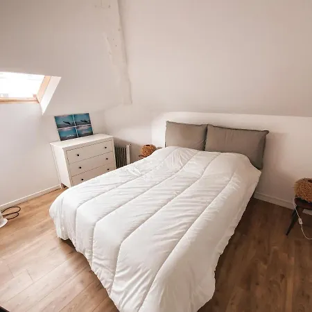 Ozeanoa Plage & Centre Apartment